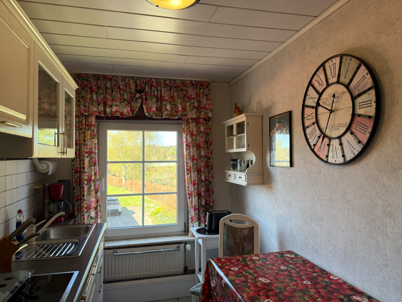 Blick in den Garten