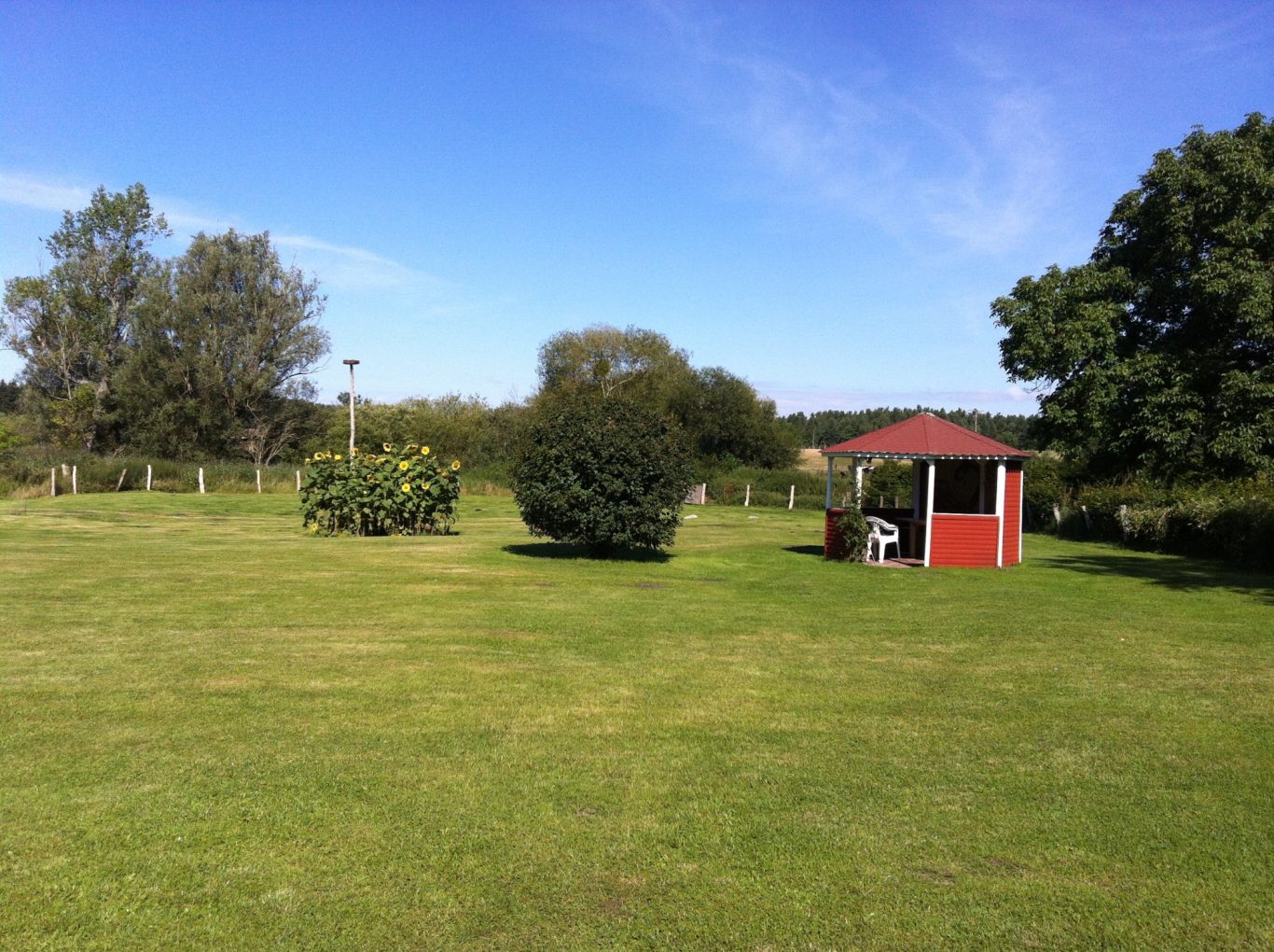 Gemeinschaftlich genutzte Liegewiese mit Pavillon