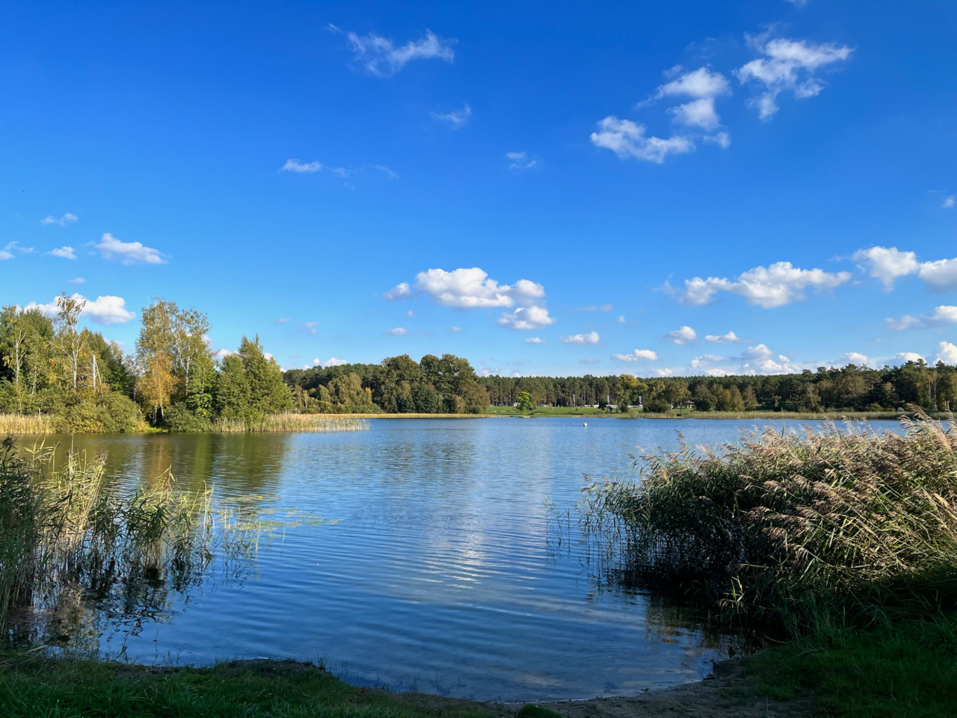 Blick auf den Kluger See